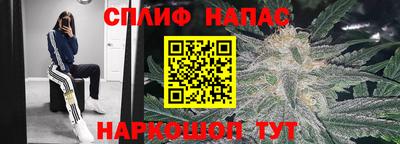 mdma Кингисепп