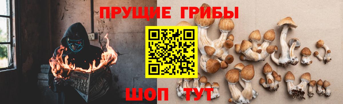 Псилоцибиновые грибы мухоморы  Псилоцибиновые грибы GOLDEN TEACHER  где найти наркотики  Кострома  Вход с VPN 